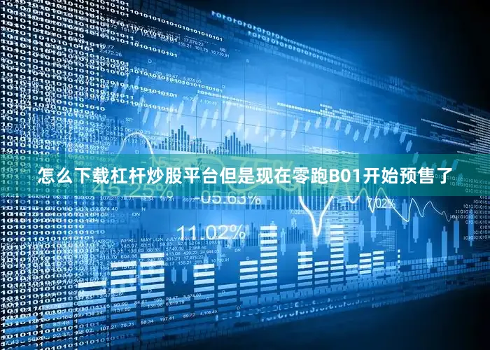 怎么下载杠杆炒股平台但是现在零跑B01开始预售了