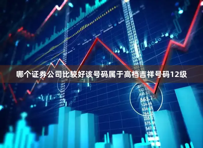 哪个证券公司比较好该号码属于高档吉祥号码12级