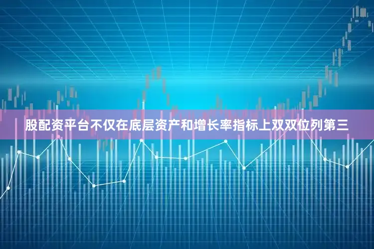 股配资平台不仅在底层资产和增长率指标上双双位列第三