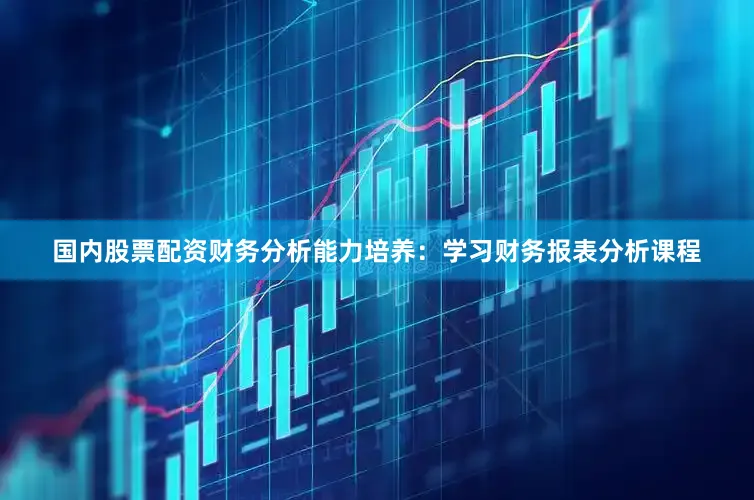 国内股票配资财务分析能力培养：学习财务报表分析课程