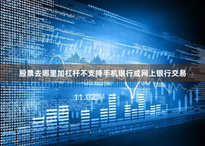 股票去哪里加杠杆不支持手机银行或网上银行交易